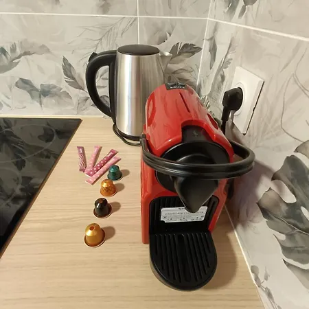 Appartamento Le Nid Du Coutelier Thiers